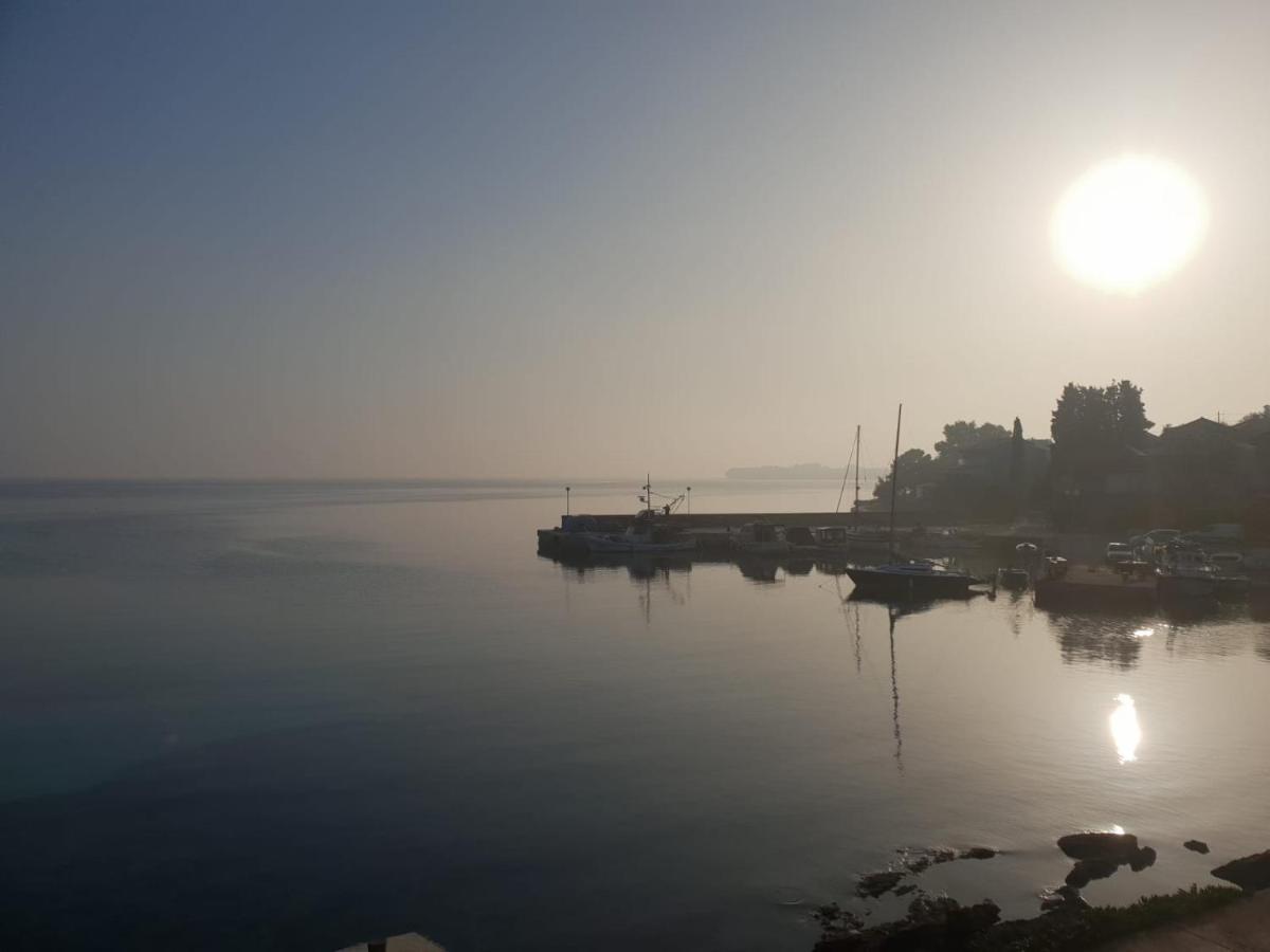 Apartments Sea Reflections Žman Dış mekan fotoğraf